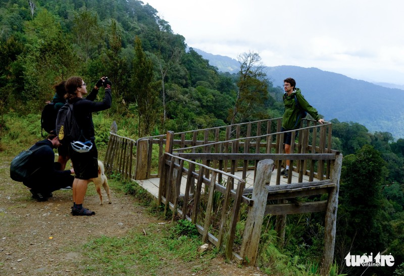 Ngắm biển mây trôi giữa rừng xanh Đỉnh Quế quanh năm mát lạnh - Ảnh 5. Ngắm biển mây trôi giữa rừng xanh Đỉnh Quế quanh năm mát lạnh - Ảnh 5.