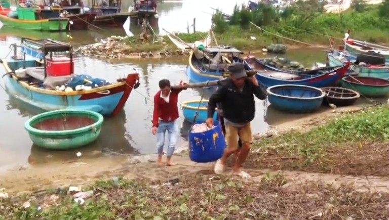 Tin nhanh - Ngư dân trúng đậm ruốc biển, phấn khởi trước thu nhập cả chục triệu mỗi ngày (Hình 2).