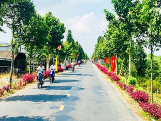 Hậu Giang: Tình hình KT-XH tháng 3 huyện Châu Thành A phát triển ổn định