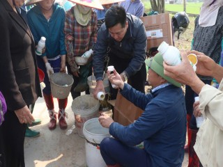 Kích rễ khỏe — Giải pháp vi sinh cho cây trồng của Vi sinh Âu Lạc