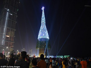 Cây thông Noel nhỏ hơn 40.000 lần sợi tóc con ngườ